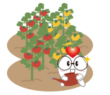 メガまるイメージ