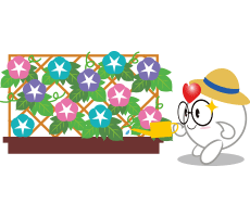 メガまるイメージ