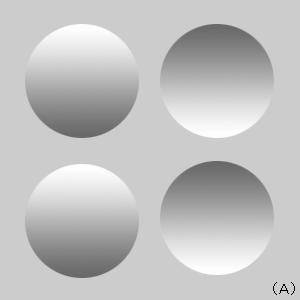 画像(A)