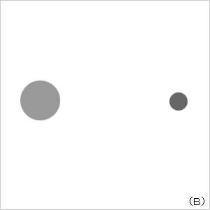 画像(B)