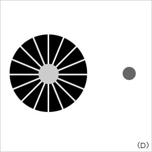 画像(D)
