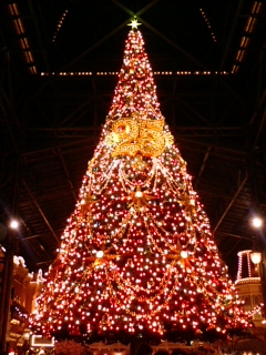 xmas_3.jpg