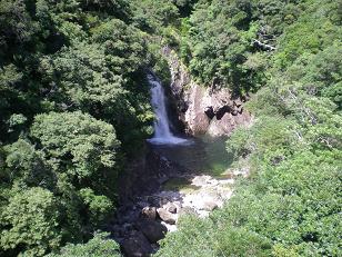 yakushima2.JPG