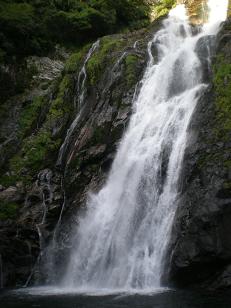 yakushima3.JPG