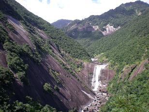 yakushima4.JPG