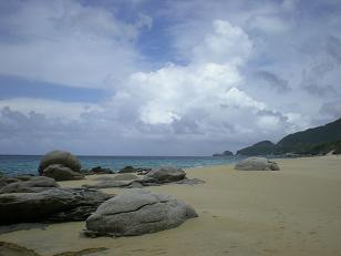 yakushima8.JPG