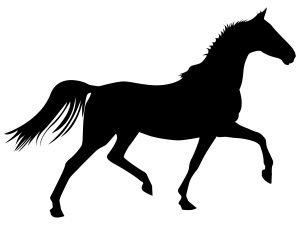 1134377_trotting_horse