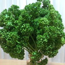 parsley